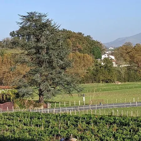 T3 Proche D'espelette Dans Domaine Avec Piscine Souraïde