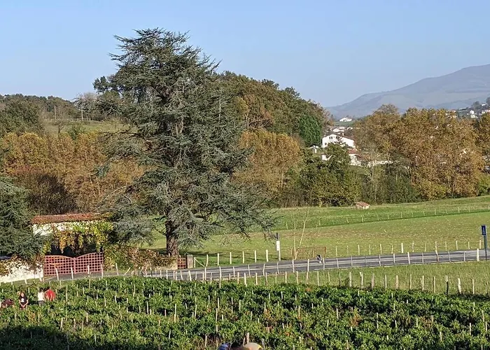 Bol D'air Pur Au Coeur Du Pays Basque Souraïde